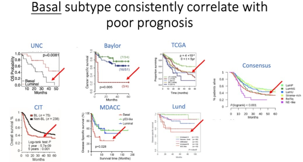 Asco Gu Risk Stratification And Management Of High Risk Muscle