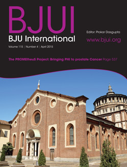 bjui cover 115 4