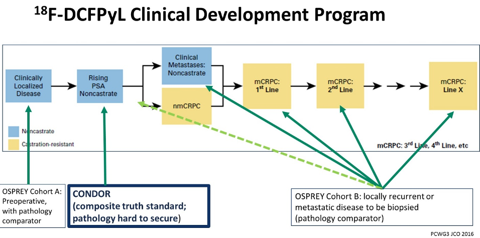 18f dcfpyl clinical development program