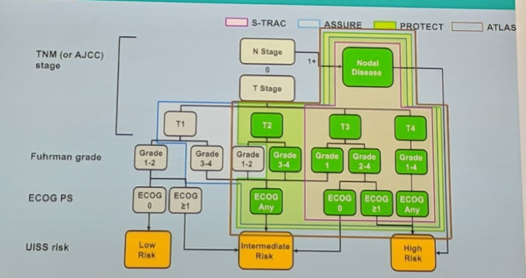 UroToday ESOU19 Adjuvant Therapy after Nephrectomy 1