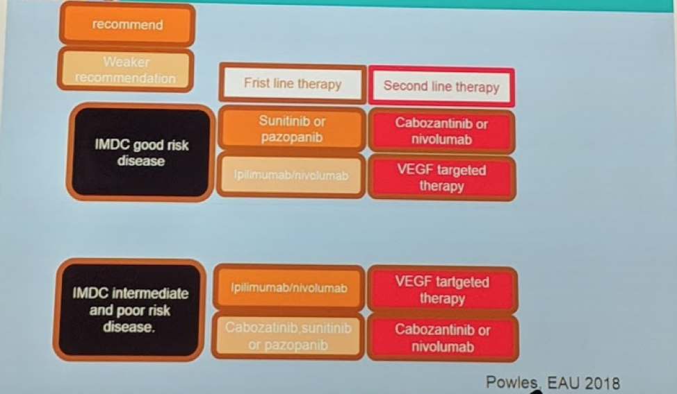 UroToday ESOU19 Revolution in the First Line Treatment mRCC 3