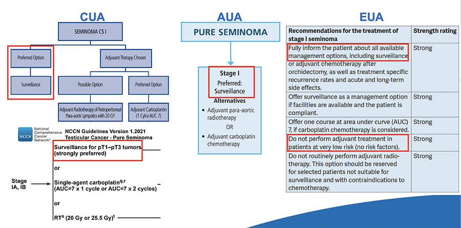 6._CSI_Seminoma_Hamilton_GSRGT2020.png