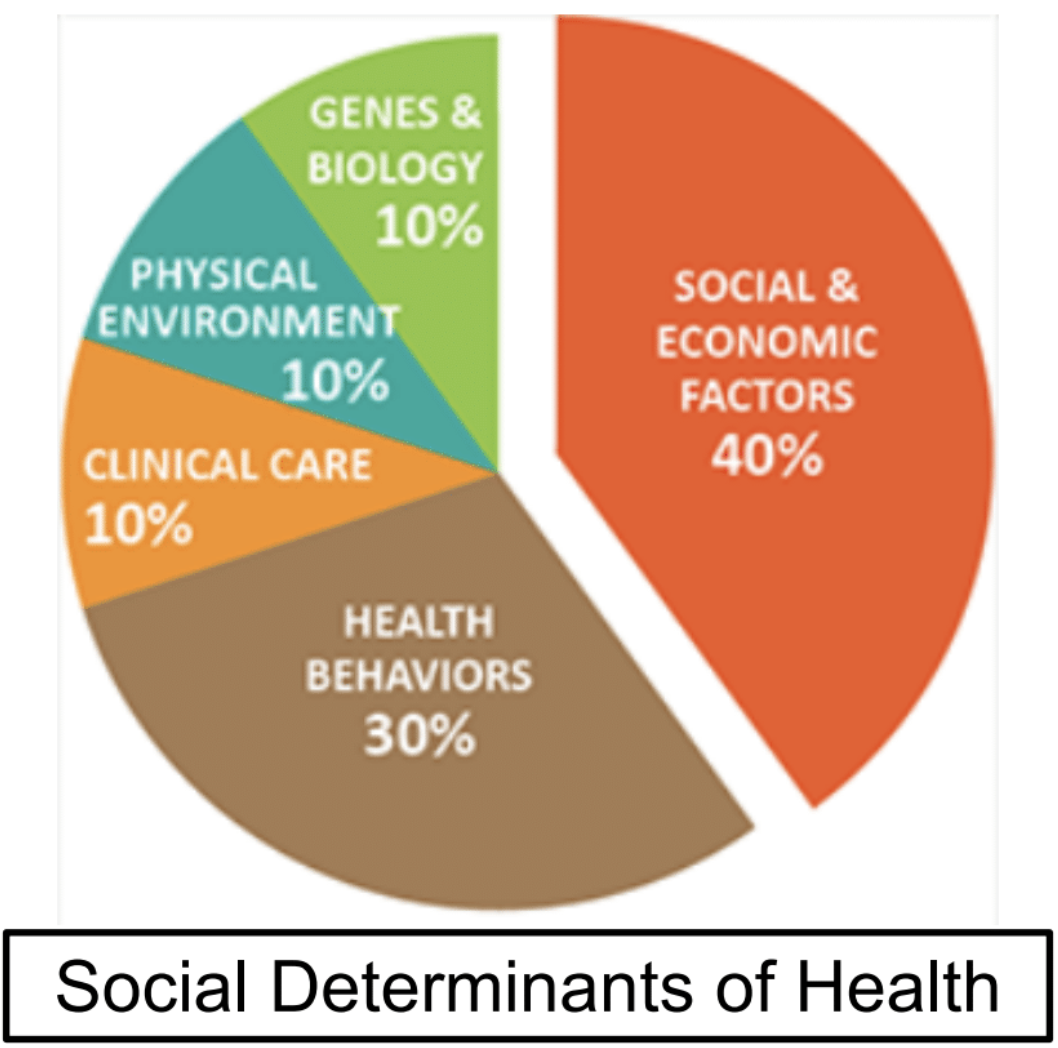 APCCC_determinents_of_health.png