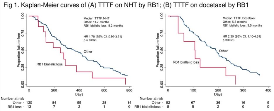 ASCO2019_AnisHamid_KaplanMeier.png