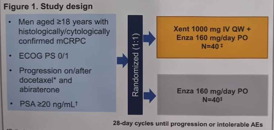 ASCO2019_enza_design.png