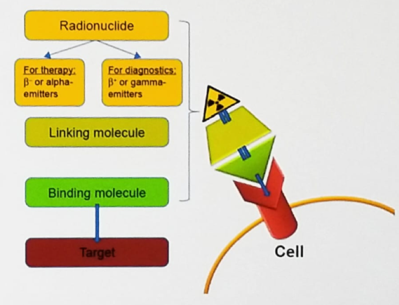 ASCO2019_radionuclide.png