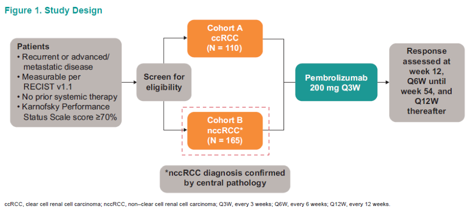 ASCO2019_studydesign_abstract4569.png