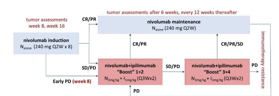 ASCO21_Grimm_Figure1.png