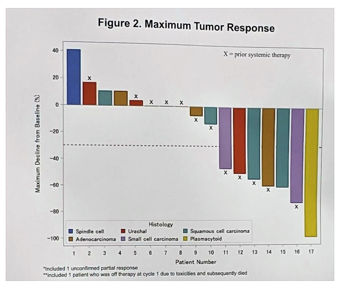 ASCO 2019 BCVH max tumor response fig 2