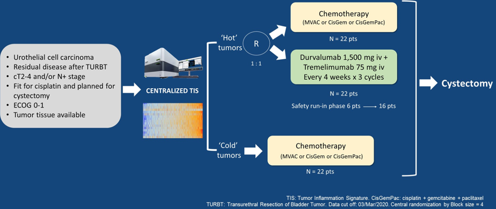 ASCO_2020_BiomarkerDevelopment_6.png