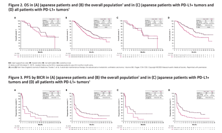 ASCO_GU_Japanese_patients.png