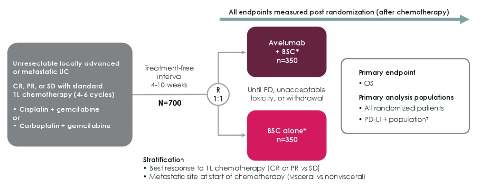 ASCO_trial_schema.png