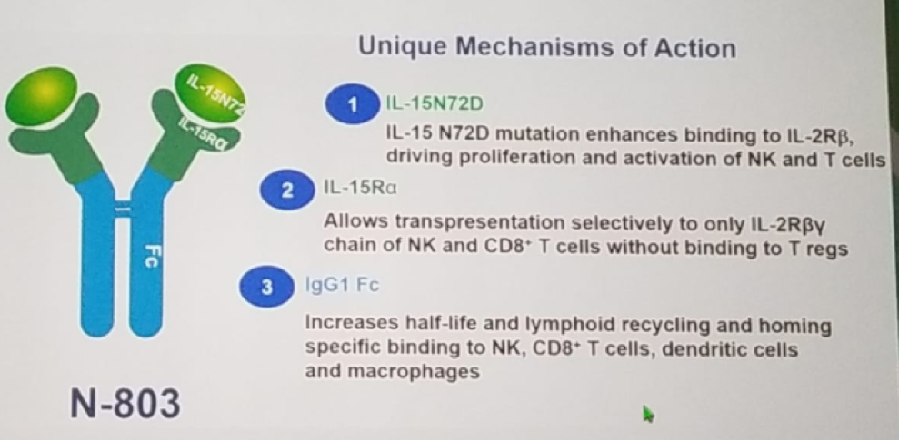 AUA2019_Figure 1—The mechanism of action of N-803-.png