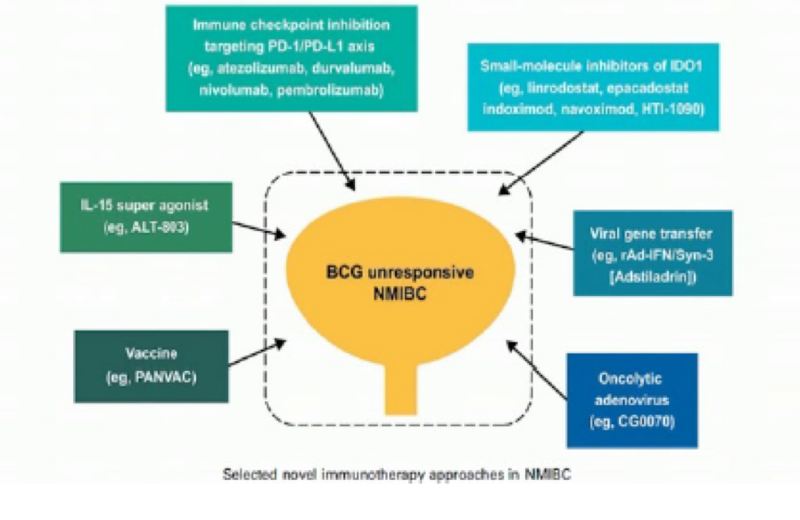 AUA 2020 What to Do During BCG Shortage for HighRisk NMIBC Patients?