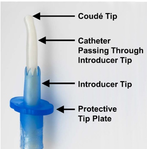 Catheter_tip.png