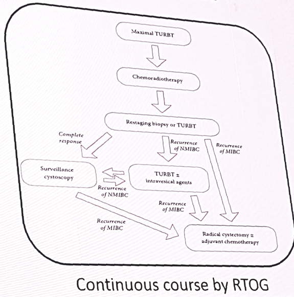 ContinuousCourse by RTOG