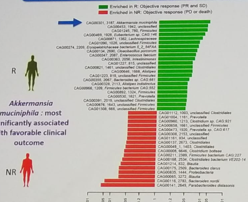 EAU2019 response to PD 1