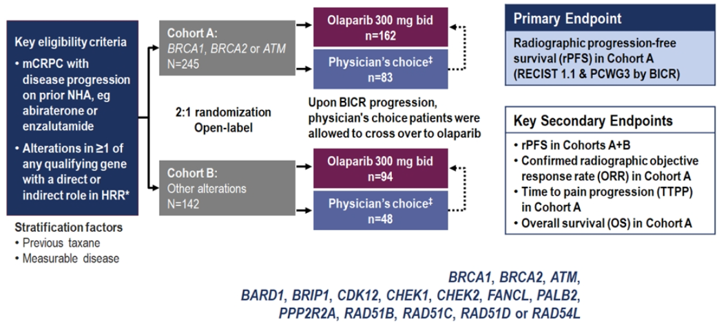 EAU2020_Birtle_6.png