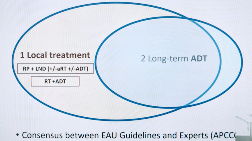 EAU2021__Ploussard_cN_and_Systemic_Treatment-_1.png