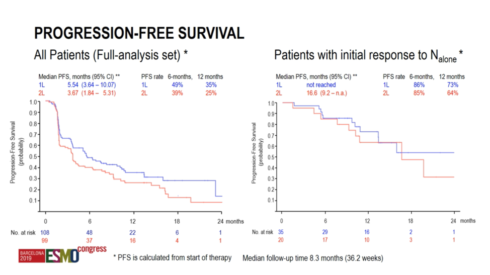 ESMO2019_survival.png