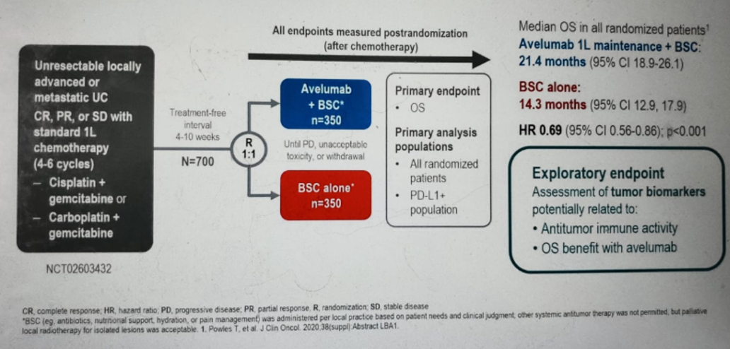 ESMO2020_Gschwend_3.png