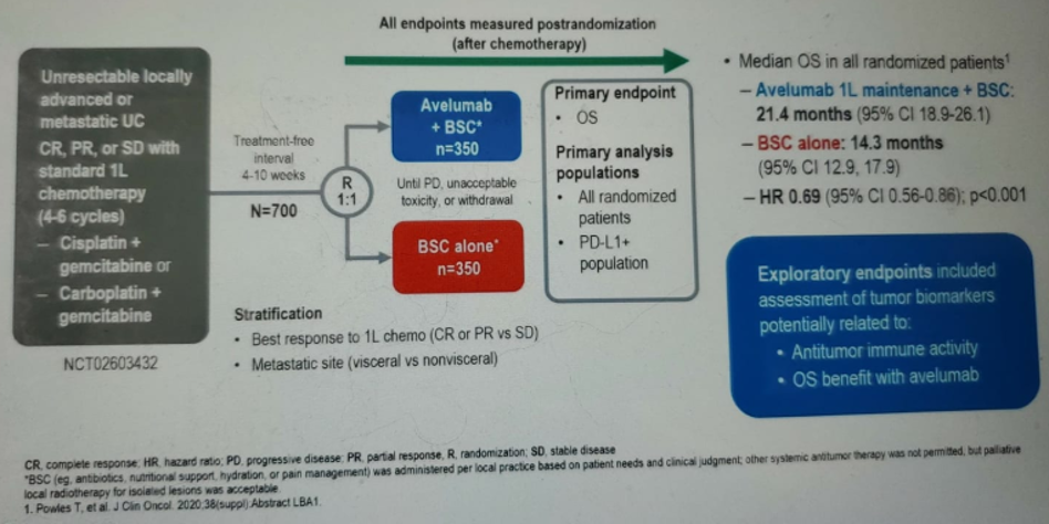 Esmo Virtual Congress Avelumab First Line Maintenance Best Supportive Care Vs Best Supportive Care Alone For Advanced Urothelial Carcinoma Association Between Clinical Outcomes And Exploratory Biomarkers