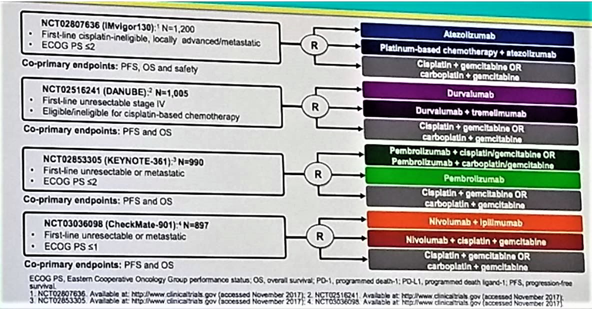 ESMO 2018 antibodies in urothelial cancer