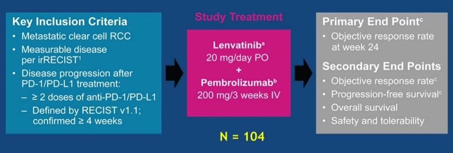 FRACTION RCC key inclusion criteria