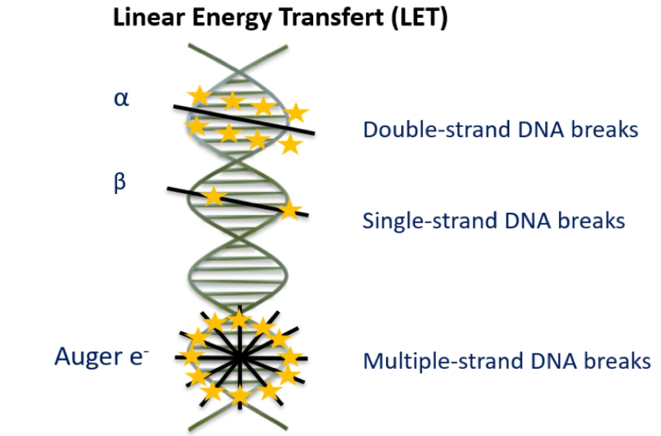 Figure2_LinearEnergyTransfert_EAU2020.png