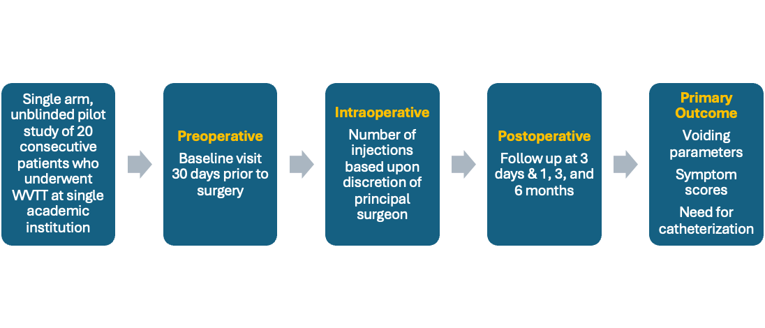 Figure_1._Catheter-free_WVTT_pilot_study_design.jpeg