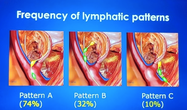 Frequency of lymphatic patterns