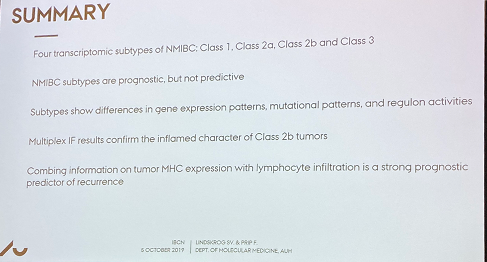 IBCN2019_UROMOL_NMIBC_classification.png