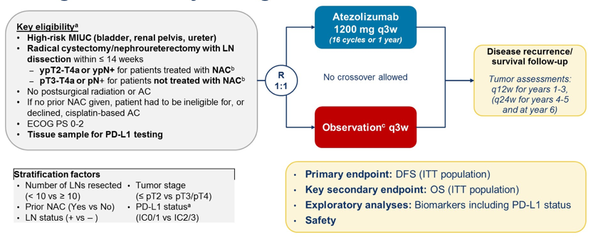 IMVigor10StudyDesign_ASCO2020.png