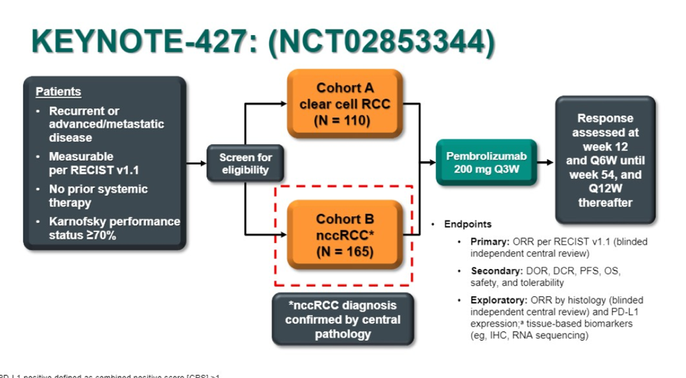 Asco Gu 2019 Results From Keynote 427 Cohort B First Line Pembrolizumab Monotherapy For