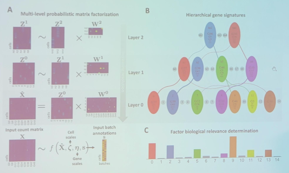 One_potential_avenue_is_single-cell_deep_exponential_families_scDEF_with_the_following_overview.jpeg