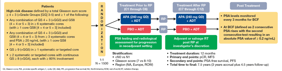 Emerging Systemic Treatment Strategies For High Risk Clinically Localized Prostate Cancer 7835