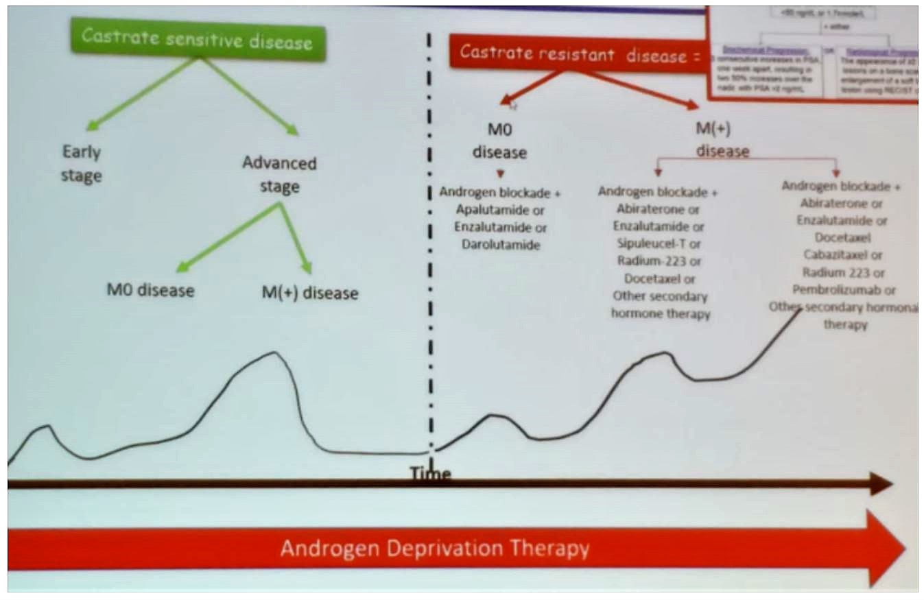 SIU 2019 androgen deprivation all disease stagesJPG