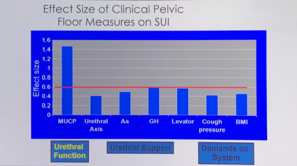 SUFU20_manometry_catheter.png