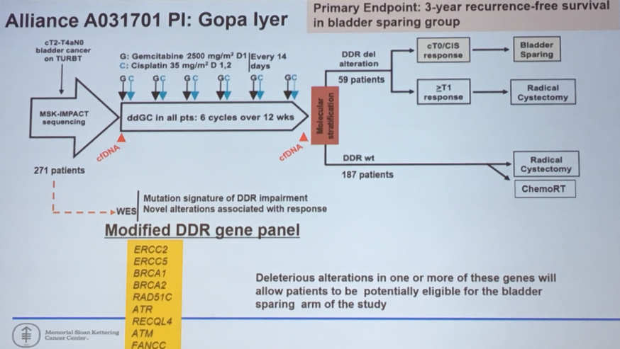 SUO2019_Lerner_Post-TCGA_5.png