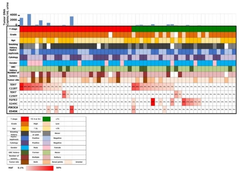 SUO 2019 Alteration landscape of UTUC samples2