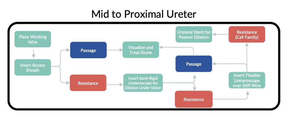 mid to proximal ureter