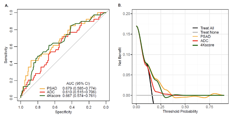 AUC plot (A) and decision curve analysis plot (B) for three selected univariable logistic models (PSAd, ADC, and 4Kscore, respectively) assessing association between baseline clinic-radiologic factors and csPCa. 