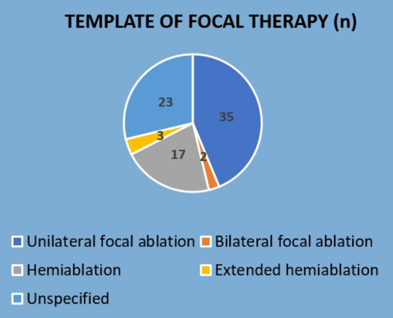 TemplateFocalTherapy_EAU2020.png