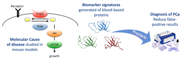 Translational approach for biomarker discovery and validation workflow