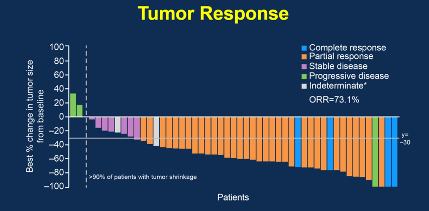 ASCO 2020: Researchers underscore efficacy of pembrolizumab plus axitinib  in treating advanced renal cell carcinoma - ecancer
