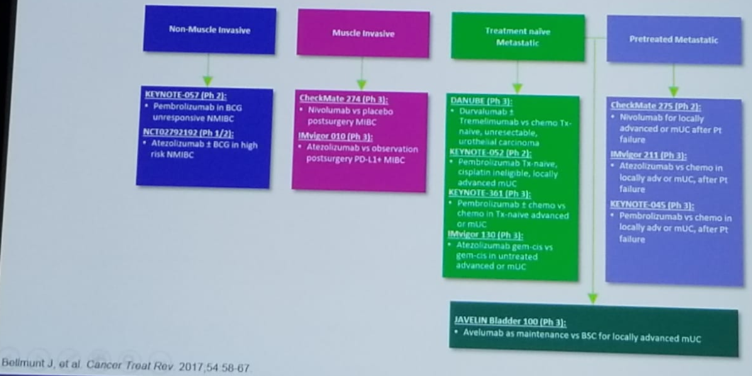 UroToday CUOS19 Ongoing trials in bladder cancer 