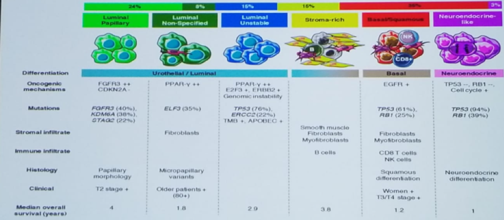 UroToday CUOS19 consensus molecular classification of muscle invasive bladder cancer