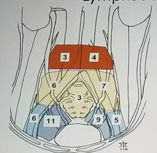 UroToday ERUS2018 Median number of lymph nodes removed from each zone