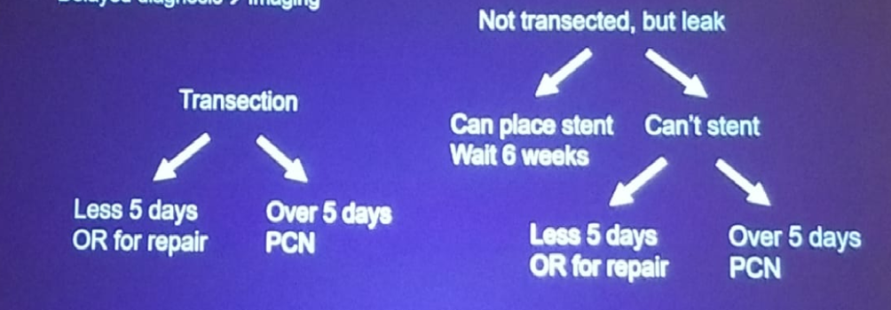 UroToday NARUS 2019 Treatment algorithm of the ureteral injury