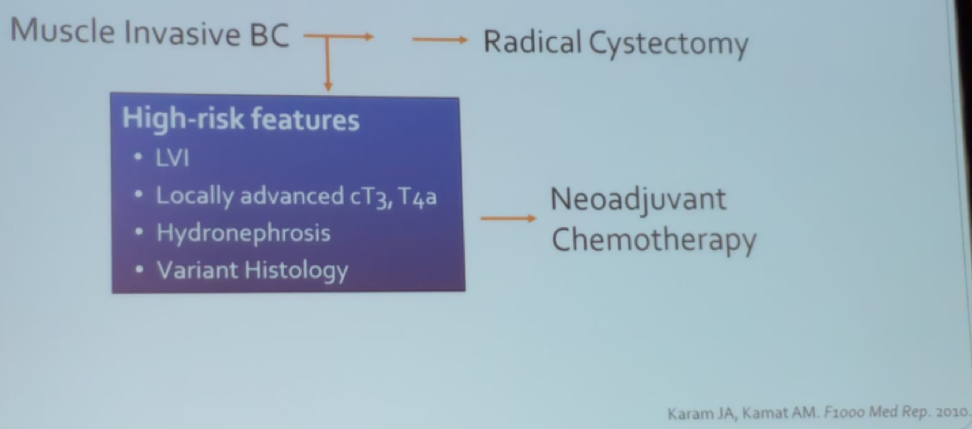 algorithm for the management of bladder cancer